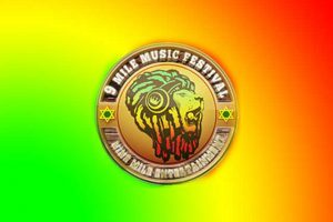 9  Mile Music Festival - Photo by: www.9milemusicfestival.com