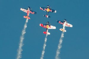 Image by Redfox1980 from Pixabay