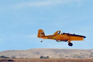 Aviroayt Festival - CarniFest Online Photo © All Rights Reserved