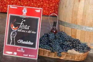 Bardolino Wine and Grapes Festival - Photo by: www.bardolinotop.it