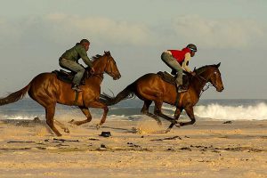 Image by Rob Glenister from Pixabay