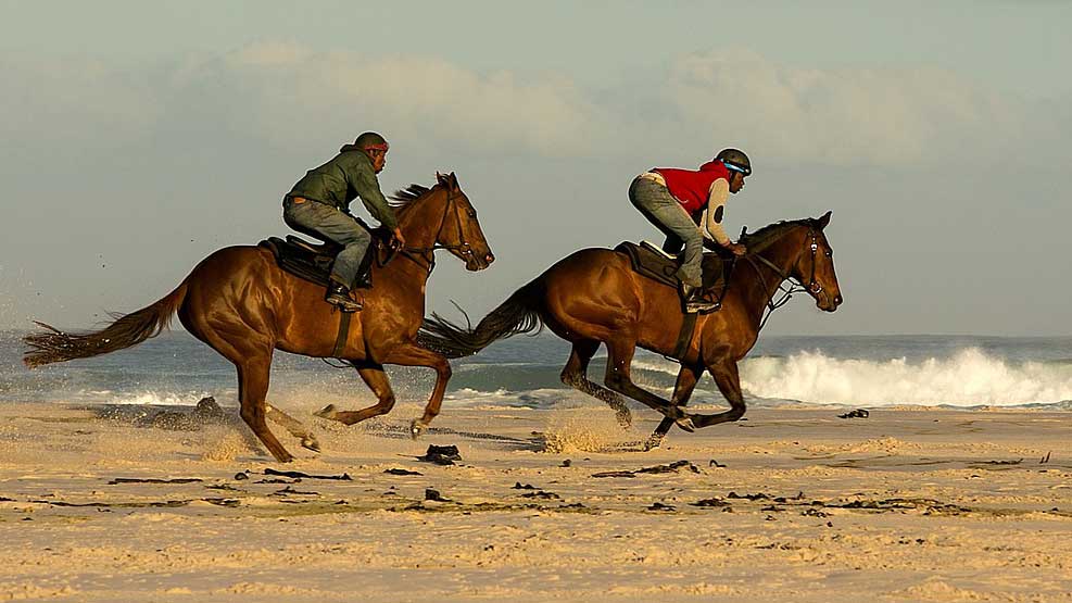 Image by Rob Glenister from Pixabay