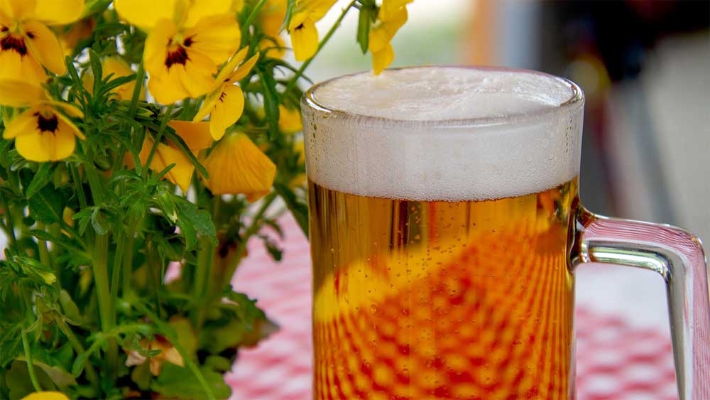 Beer Glass - Photo by Ingrid "HoliHo" [Via pixabay.com]