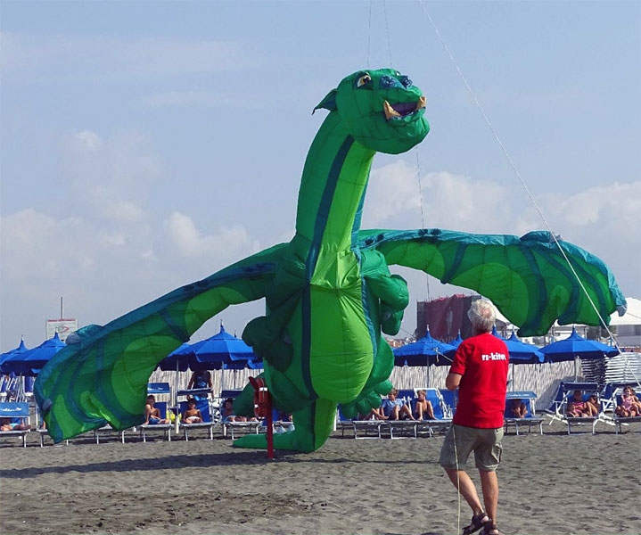 Berck Sur Mer Kite festival - Photo by: www.cerf-volant-berck.com