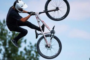 Image by Nico Franz from Pixabay