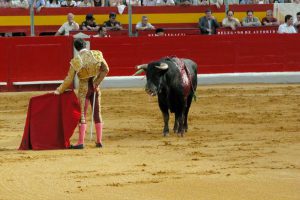 Bullfighting - Photo by: jxnhunter
