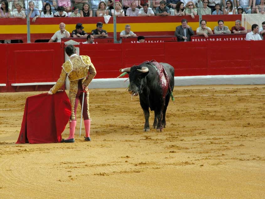 Bullfighting - Photo by: jxnhunter