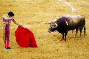 Bullfighting - Photo by: nicoo
