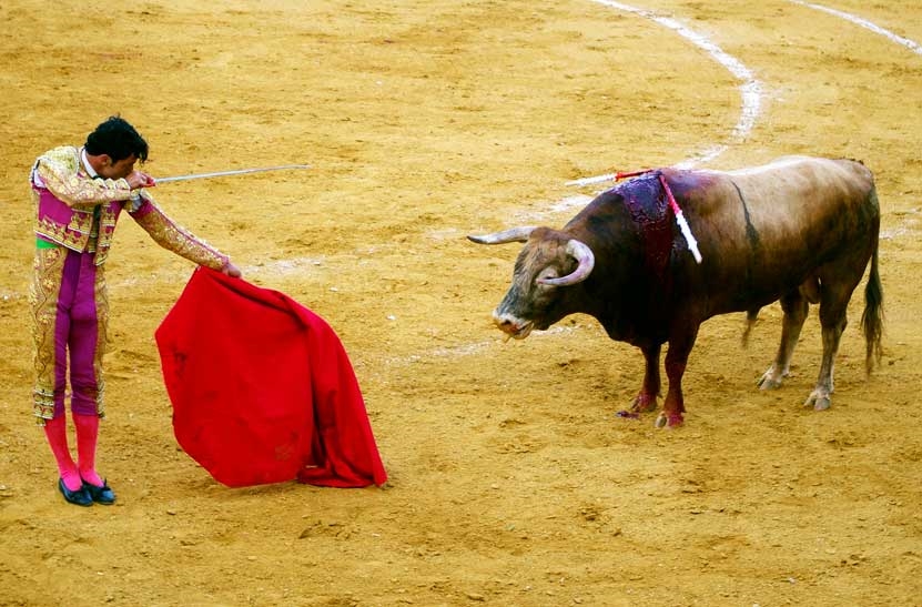 Bullfighting - Photo by: nicoo