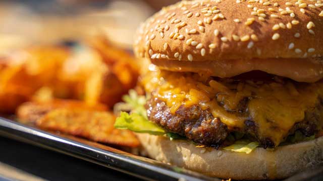 Image by: Thorsten Frenzel from Pixabay