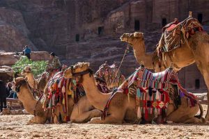 Image by mikaelthunberg from Pixabay