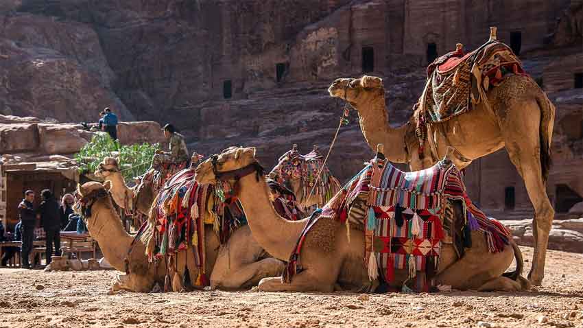 Image by mikaelthunberg from Pixabay