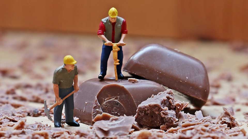 Image by S. Hermann & F. Richter from Pixabay