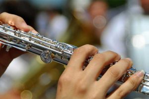 Photo: Karl Allen Lugmayer [via-pixabay.com]