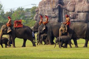 Elephants Round-Up in Surin - Photo by: freebeerforyorky.com