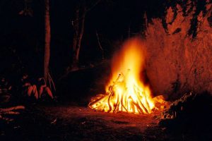 Image by Gerhard Lipold From Pixabay