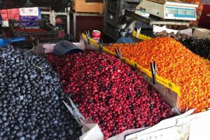 Food Market - CarniFest Online Photo © All Rights Reserved