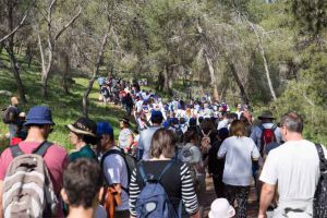 Photo by: Sagee Moran