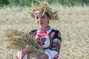 Image by Christo Anestev from Pixabay