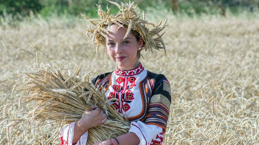 Image by Christo Anestev from Pixabay