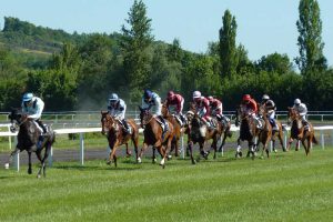 Image by Jean Louis Tosque from Pixabay