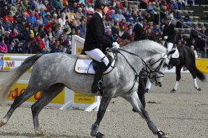 Image by Digwen from Pixabay