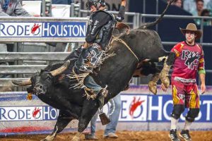 Image: www.rodeohouston.com