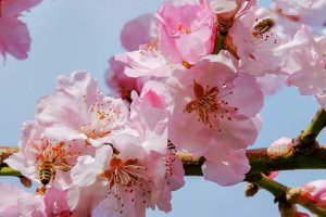 Photo by: Couleur [via pixabay.com]