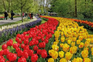 Keukenhof Gardense - Photo by: keukenhof.nl