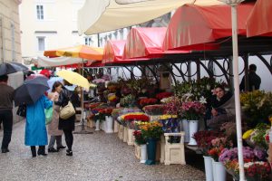 Ljubljana Central Market - CarniFest Online Photo © All Rights Reserved