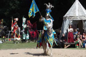 Image by Roman Paroubek from Pixabay