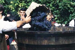 Rioja Wine Harvest Festival - Photo by: www.spain.info
