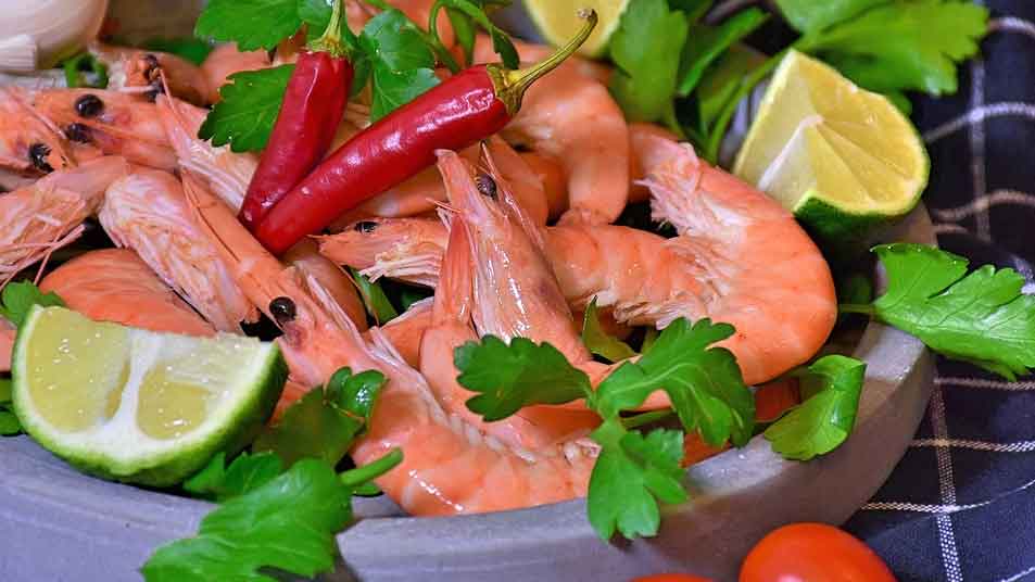 Image by RitaE from Pixabay