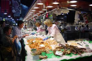 CarniFest Online Photo © All Rights Reserved