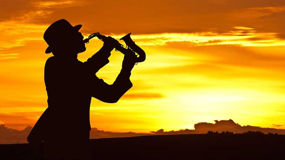 Image by Karen Arnold from Pixabay