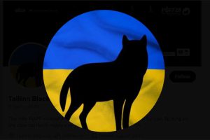 Tallinn Black- Nights Film Festival - Image: poff.ee