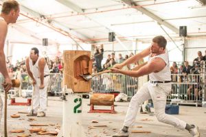 Photo courtesy of: The Royal Queensland Show - www.ekka.com.au