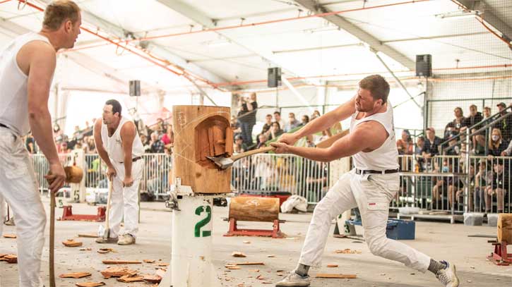 Photo courtesy of: The Royal Queensland Show - www.ekka.com.au