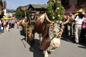 The transhumance in Reith im Alpbachtal - Photo by: www.alpbachtal.at
