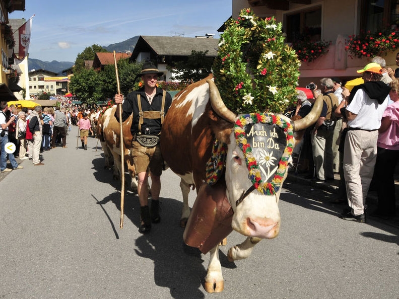 The transhumance in Reith im Alpbachtal - Photo by: www.alpbachtal.at