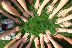 Image by Henning Westerkamp from Pixabay