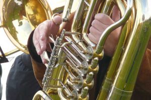 Image by Hans Braxmeier from Pixabay