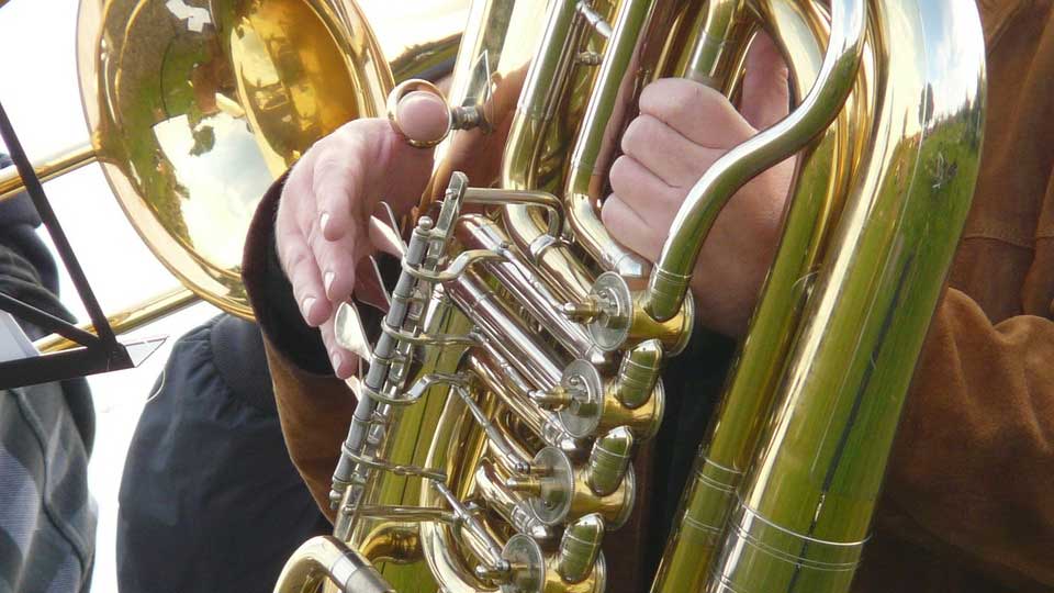 Image by Hans Braxmeier from Pixabay